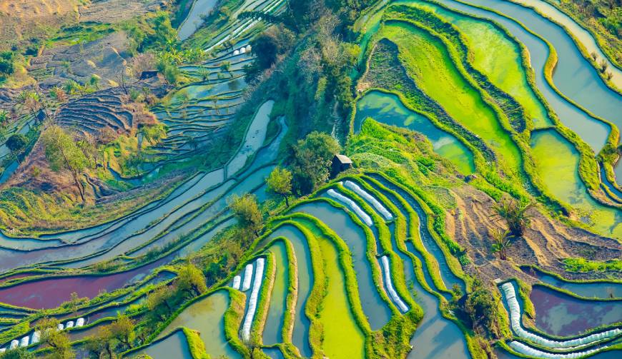 走进民权县TVC拍摄：解锁本地化场景与创意镜头的完美融合